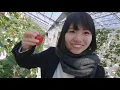 WANIMA／やってみよう　〜PV風〜