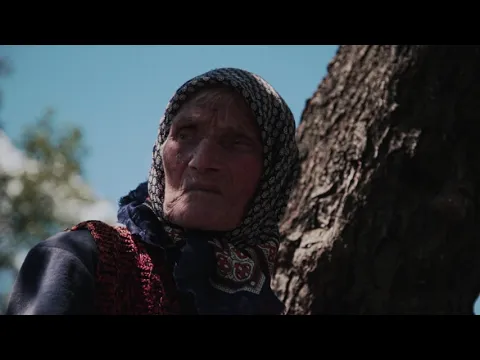 Trailer | Then Comes the Evening | Maja Novaković