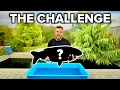 Download Lagu Can I Grow A 40lb CARP In My HEATED Koi Pond?