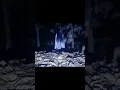 Download Lagu kok malah hantunya yang takut🗿😭 #meme #ghost #penampakananeh #hantu #indonesianghost #edit #foryou