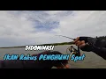 Tumben Mancing Ke Spot Pinggiran ini, Masih Didominasi Ikan Penghuni Spot