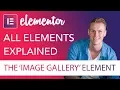 Image Gallery Element Tutorial Elementor