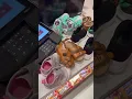 Cat Jack Return Policy at Target