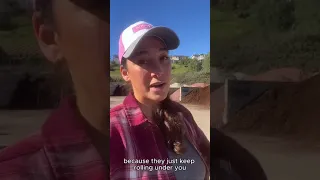 The Difference Between Playground Sand vs Masonry Sand