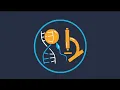 Lac Operon (Basic) Animation || Gene regulation in Prokaryotes