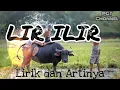 Tembang Jawa | Lir Ilir Sunan Kalijaga Lirik dan Artinya