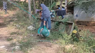  daymylife hairushemi