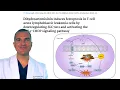 Download Lagu Artemisinin TRIGGERS Ferroptosis in Cancer