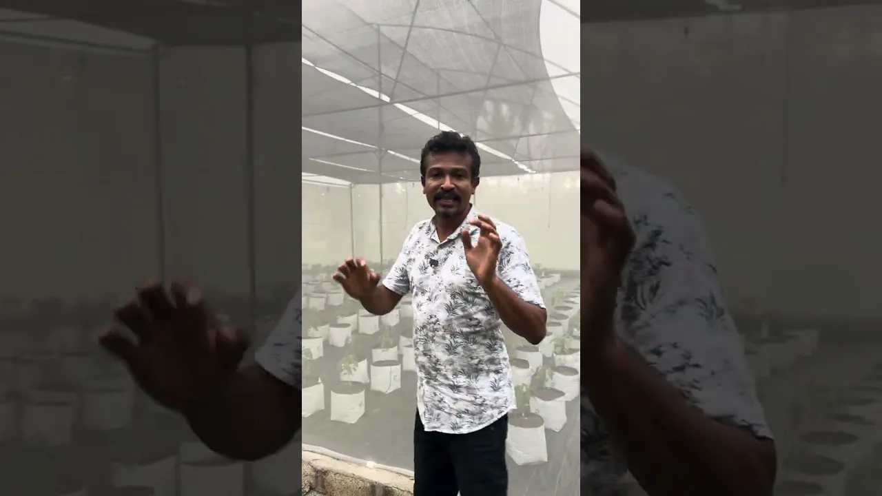 quality green house