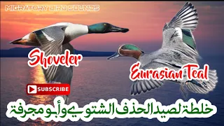 رحلة العودة خلطة لصيد الحذف الشتوي وأبو مجرفة Hunting Mix Of Eurasian Teal And Shoveler 