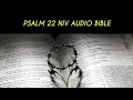 PSALM 22 NIV BIBLE