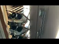 Unboxing TEMU 15 shoe shelves