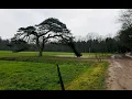 Lagu Wandelingetje Hoge Vuursche 1 feb 2026