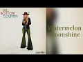 Download Lagu Lainey Wilson - Watermelon Moonshine (Lyrics)