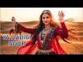 Download Lagu Ya Habibi Noor – The Arabic Song That Will Set Your Heart on Fire! 🔥💖- Official AI Video