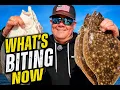 Ocean City Fishing Report What s Biting Now Flounder Stripers Tog Surf - Ocean City MD