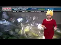 Sporting my Turkey Day hat on WBRC Fox 6 News