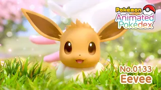 Animated Pokedex No 0133 Eevee