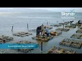 Skyrizi Commercial 2025