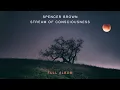 Download Lagu Spencer Brown - Stream of Consciousness | Full Album