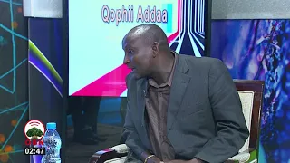 Jaal Goollicha Dheengee Ajajaa Waraanaa ABO Shanee Zoonii Kibbaa 