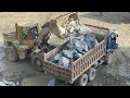Download Lagu Caterpillar vs Giant Stones – Who Wins?\