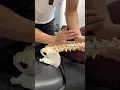 Demonstrating a very specific and powerful lower back adjustment