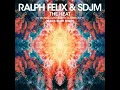The Heat (I Wanna Dance with Somebody) (Black Saint Remix)