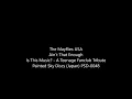 Ain't That Enough - The Mayflies USA (Teenage Fanclub cover)