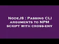 NodeJS Passing CLI arguments to NPM script with cross-env