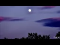 Mena Massoud, Naomi Scott - Desert Moon (lyrics)