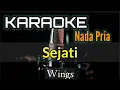 Download Lagu KARAOKE || SEJATI / WINGS