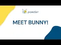 HOW TO USE BUNNY