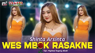 shinta arsinta wes mbok rasakne dangdut official music video 