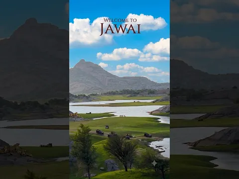 India’s Very Own Masai Mara Exists, and It’s Mind-Blowing🐆#JawaiLeopardSafari⁠#jawai#ghumakkadbugz