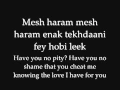 Download Lagu Enta eih - Nancy Ajram (with English Arabic lyrics).flv [www.keepvid.com].flv