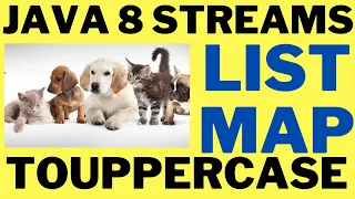 JAVA 8 STREAMS CONVERT A LIST OF STRINGS TO UPPERCASE EXAMPLE JAVA CODE DEMO InterviewDOT