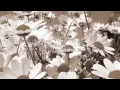 Love so sweet - 嵐（フル）