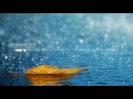 Download Lagu Rain and Tear - Richard Clayderman