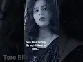 Download Lagu tere Bina zindagi se koi shikwa to nahi|Shreya Ghoshal|Dil vil pyar vyar #shreyaghoshal #90svibes