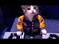 Download Lagu DJ Berem Berem Jawer Hayam Panon Coklat Kopi Susu (DJ Viral Tiktok DJ Sunda🎧🎧🎧)