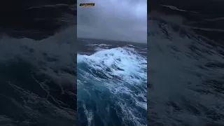 أصوات الحيتان وحدها تكفي للرعب المحيط الأطلسي كان يسمى قديمآ بحر الظلمات 