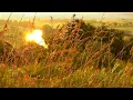 Download Lagu Lazy Hazy Summer Ambience | Summertime Sounds To Make You Go “Ahhh”
