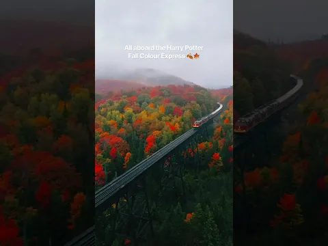 All aboard Harry Potter fans.. this is the fall colour express to Hogwarts