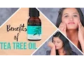 5 Essential Uses of Tea Tree Oil For Face And Skin - Glamrs
