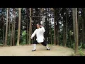 1 hour Tai Chi music with Master Gu (Chinese Qi Gong meditation music)