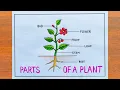 Download Lagu Parts Of A Plant Drawing / How to Draw Parts of a Plant Easy Step By Step / Part Of A Plant Project