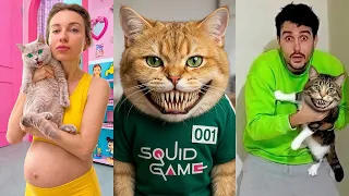Most Beautiful Cats VIRAL MOMENTS Compilation 😻😂