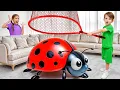 Download Lagu Alex Catches Bugs at Home