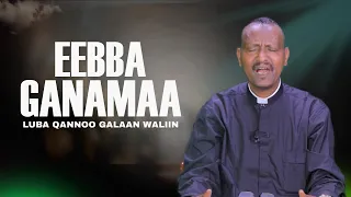 Eebba Ganamaa Luba Qannoo Galaan Waliin 643 